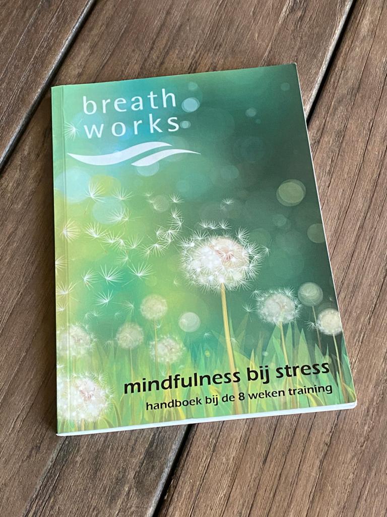 Breath works • mindfulness bij stress, Boeken, Ophalen of Verzenden, Zo goed als nieuw
