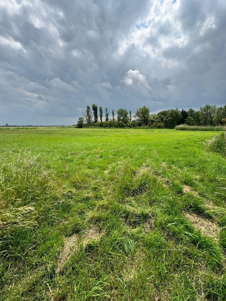 Weide/stalling, Dieren en Toebehoren, Stalling