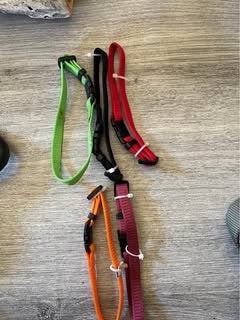 Collier et laisse pour animaux, Enlèvement, Comme neuf