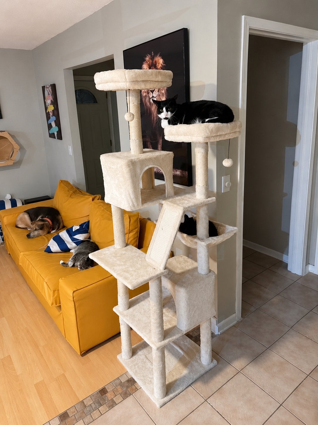 Nieuwe Grote Krabpaal 180cm – Kattenboom met 2 Huisjes, Enlèvement ou Envoi, Comme neuf, Griffoir