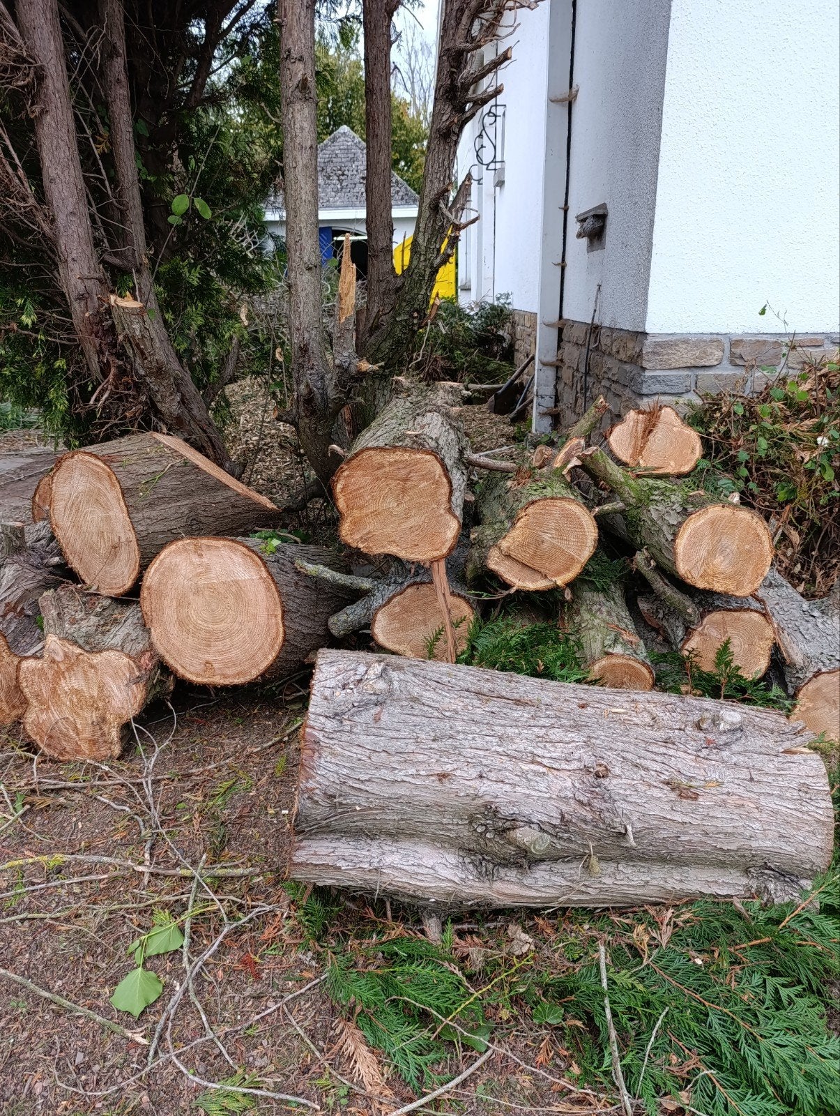 BOIS EN ÉCHANGE DE DÉCHIQUETAGE, Enlèvement