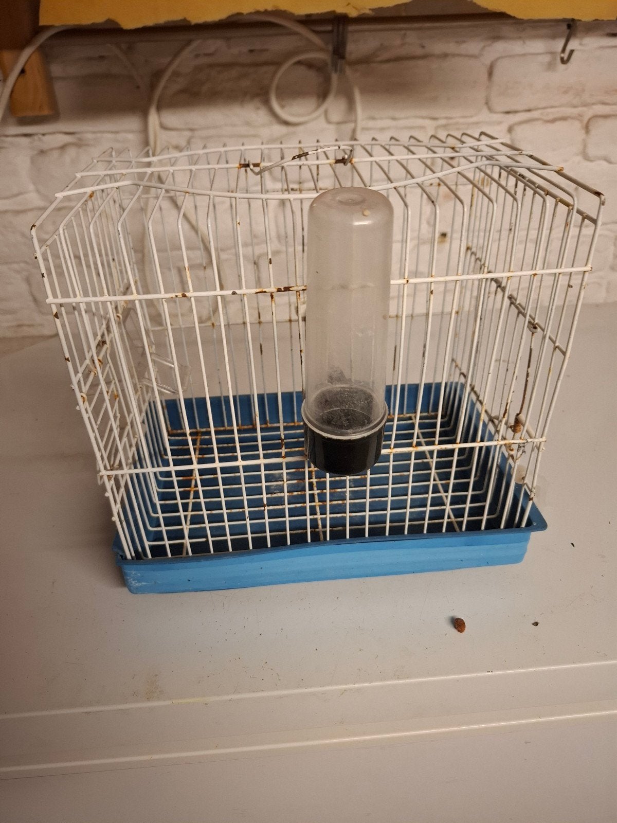une Cage pour le chant pour oiseaux, Animaux & Accessoires, Enlèvement ou Envoi