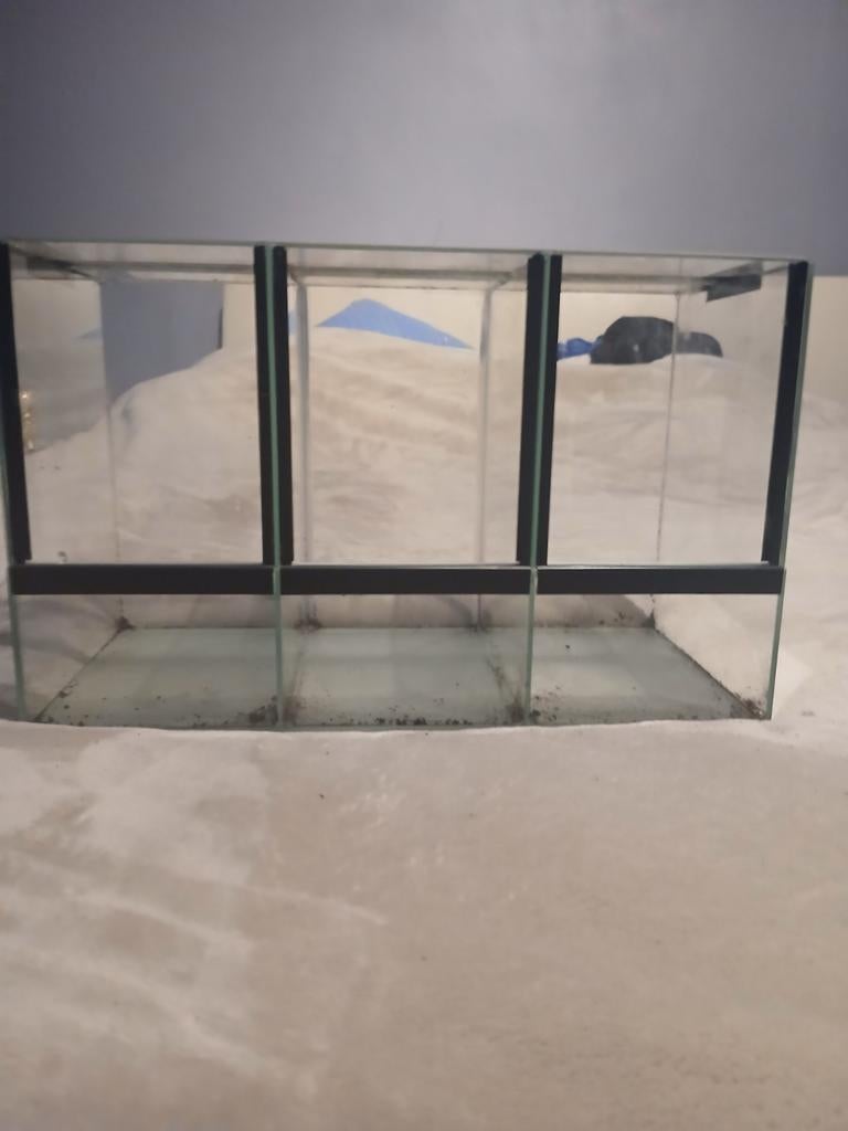3 aan elkaar geplakte terrariums, Ophalen, Nieuw, Terrarium of Paludarium