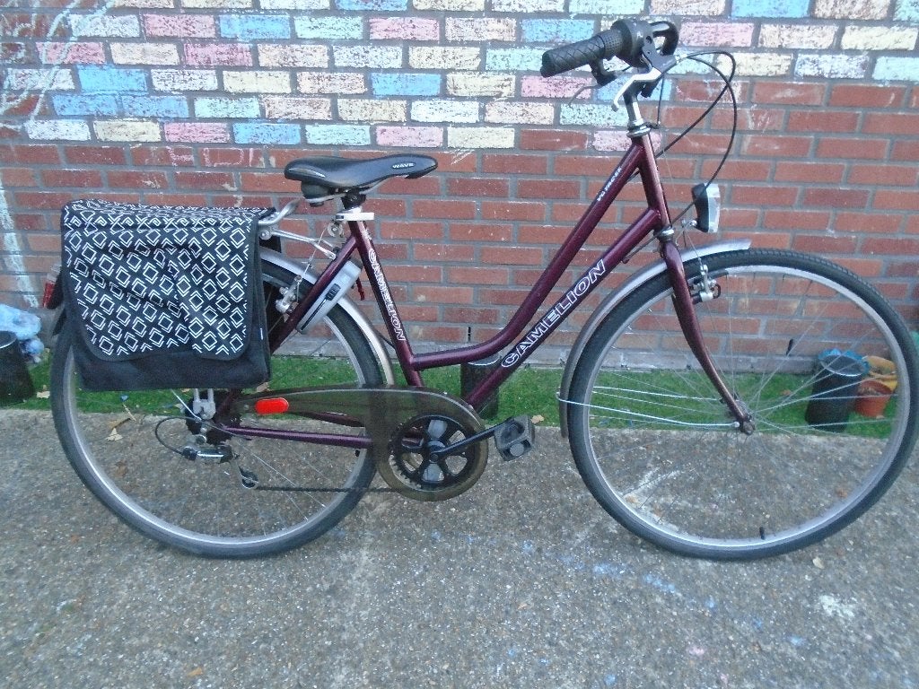 Damesfiets '' Camelion '', Fietsen en Brommers, Fietsen | Dames | Damesfietsen, Gebruikt, Versnellingen, Ophalen