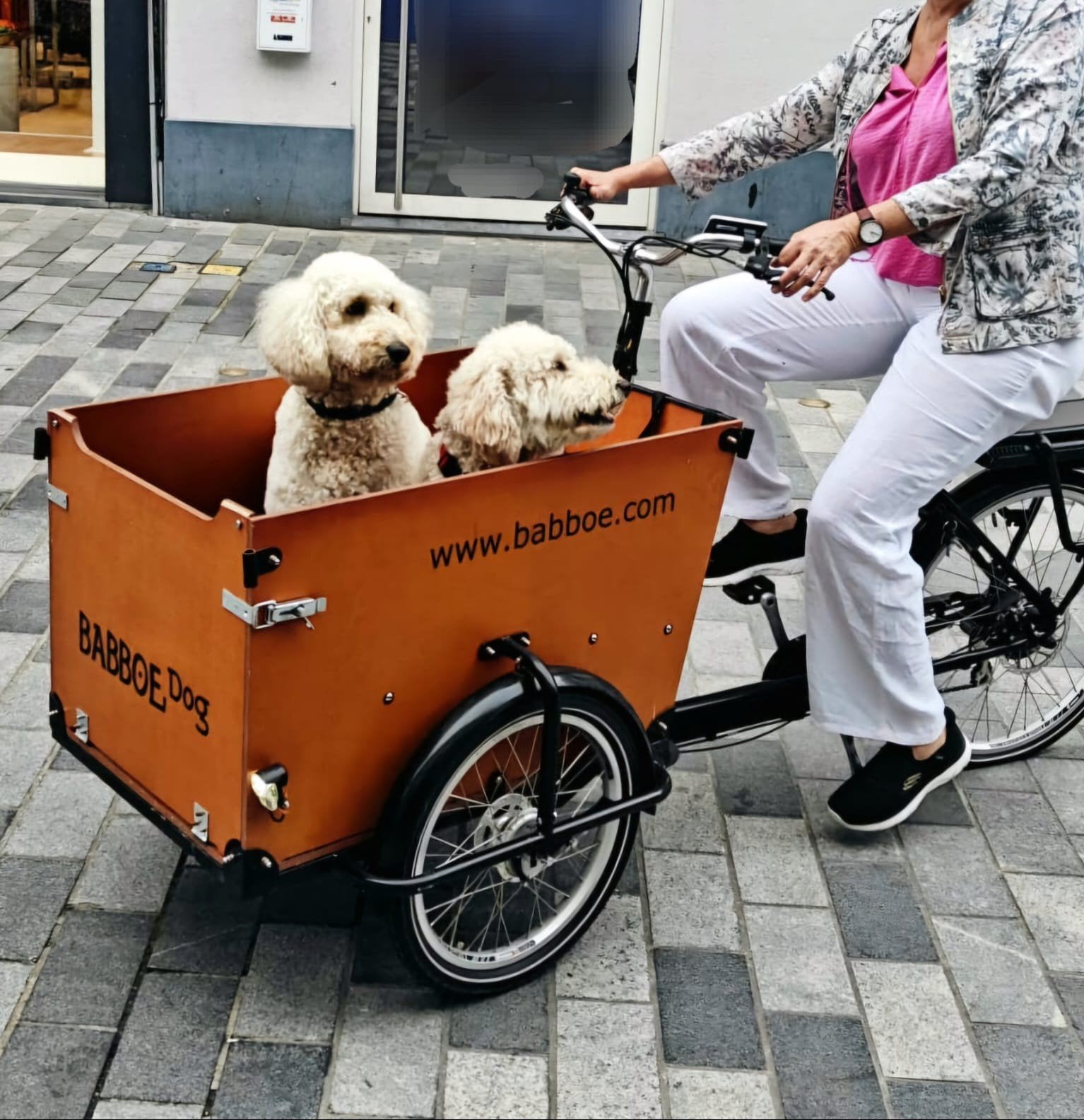 Babboe Dog-e : honden bakfiets, Fietsen en Brommers, Overige merken, Gebruikt, Elektrisch, Ophalen of Verzenden