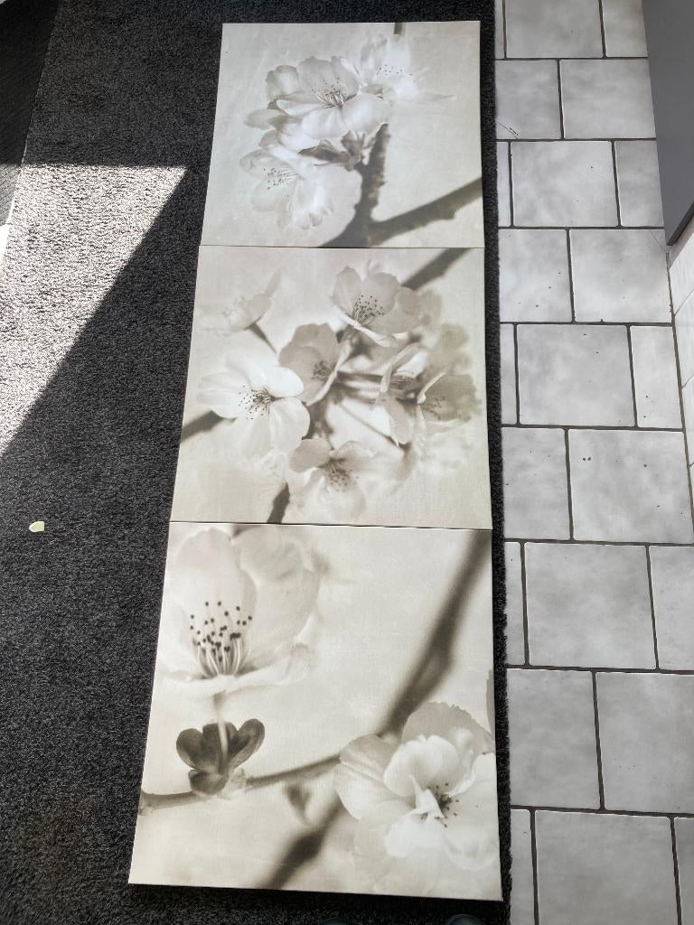 3 Ikea schilderijen groot., Huis en Inrichting, Ophalen, Zo goed als nieuw