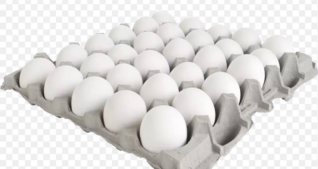 Witte bio eieren, Enlèvement
