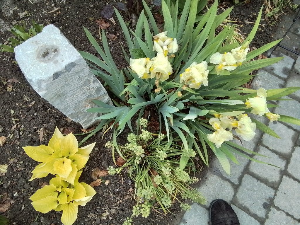 Anciens postes frontières en pierre bleue, Jardin & Terrasse, Enlèvement, Utilisé, Autres types