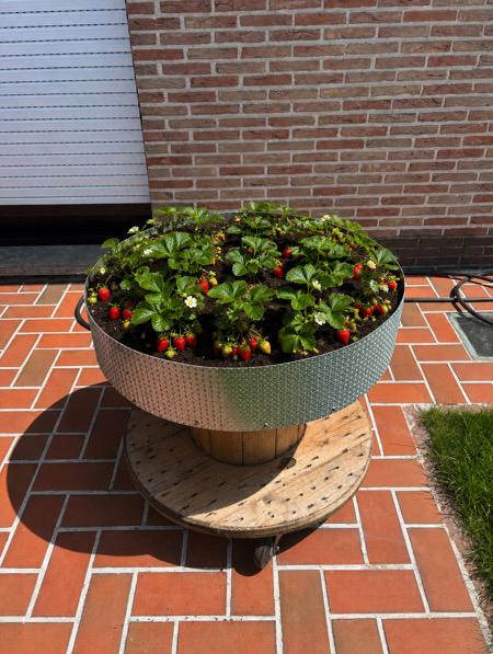 Bloembak/ plantenbak, Ophalen, Zo goed als nieuw, Tuin