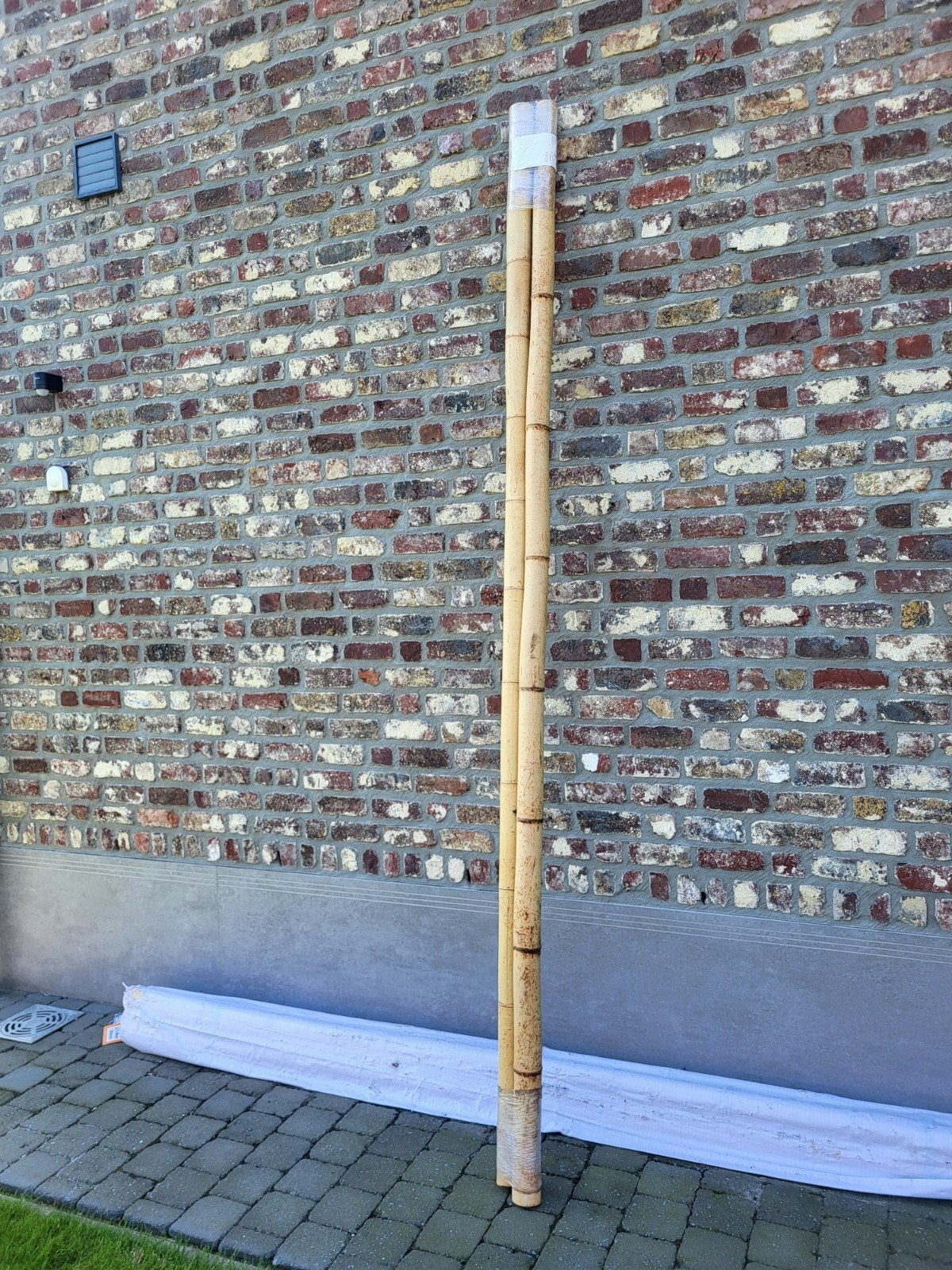 bamboe, Tuin en Terras, Ophalen