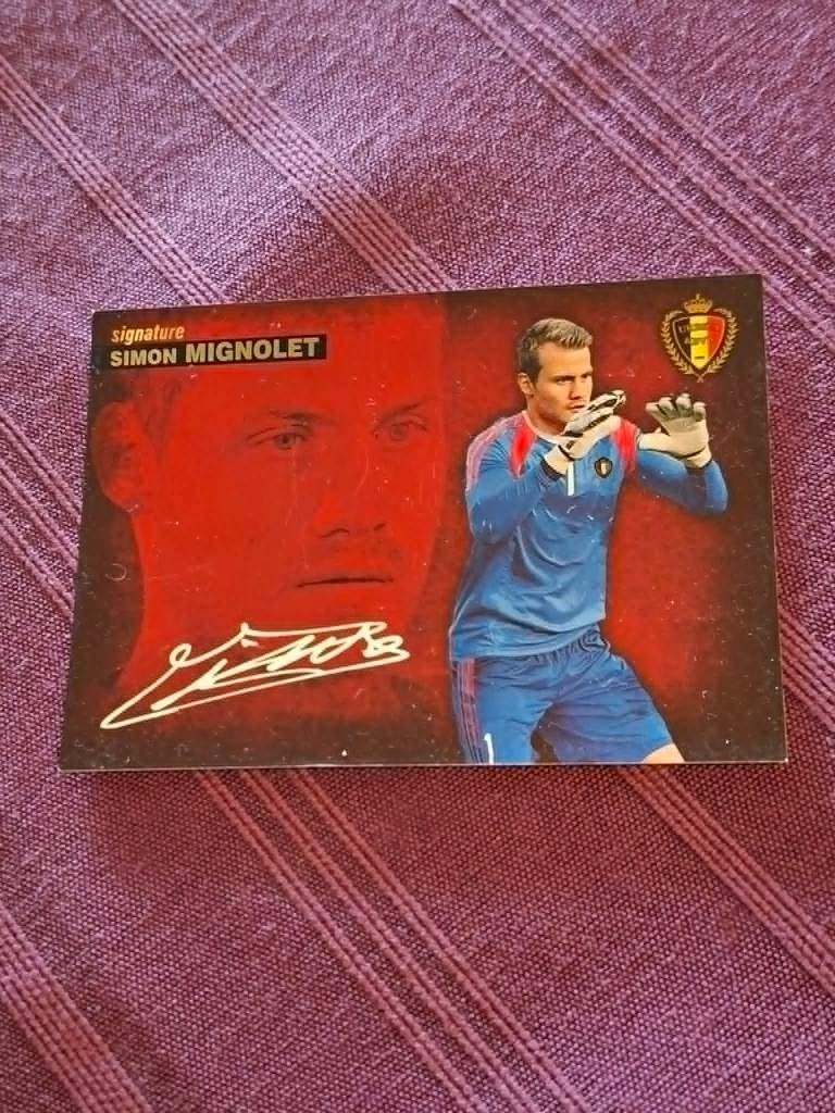 Panini / Voetbalkaart / Simon Mignolet / Rode Duivels, Ophalen of Verzenden, Zo goed als nieuw, Spelerskaart