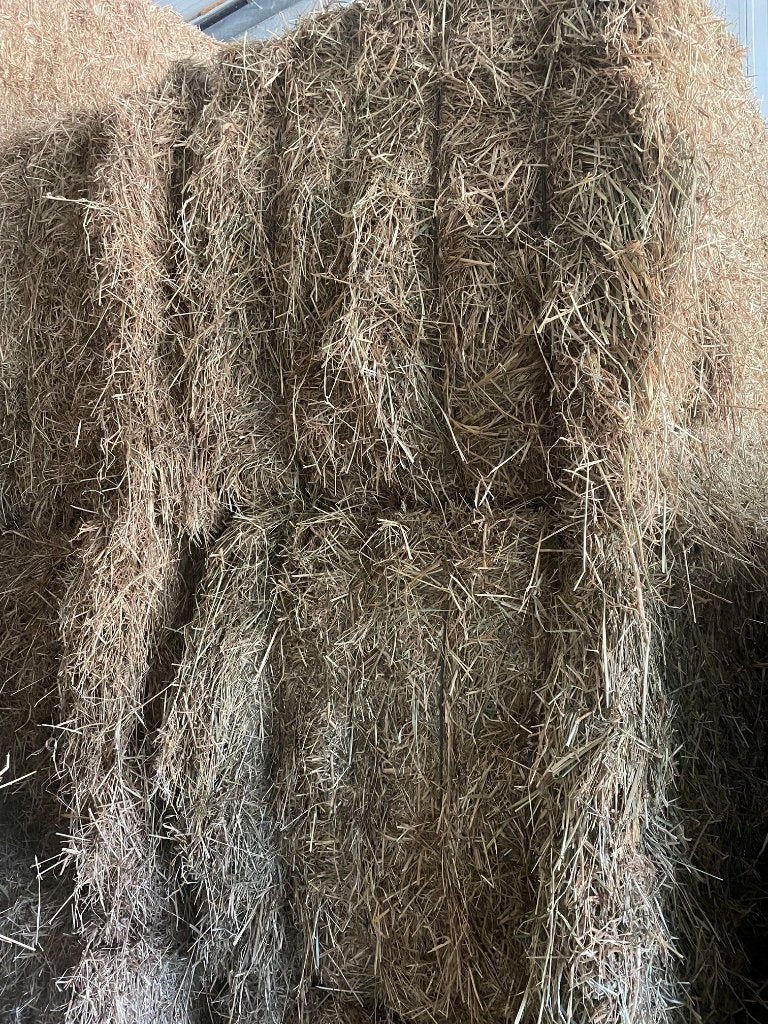 droog mooi hooi te koop