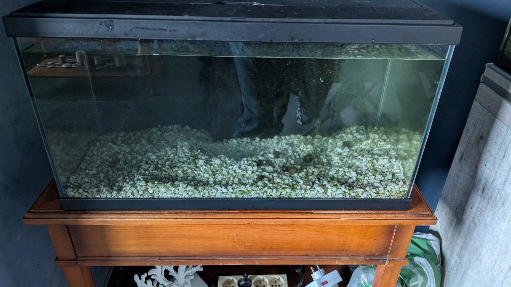 aquarium 60 litres, Animaux & Accessoires, Couvercle inclus, Aquarium d'eau douce rempli, Comme neuf, Enlèvement