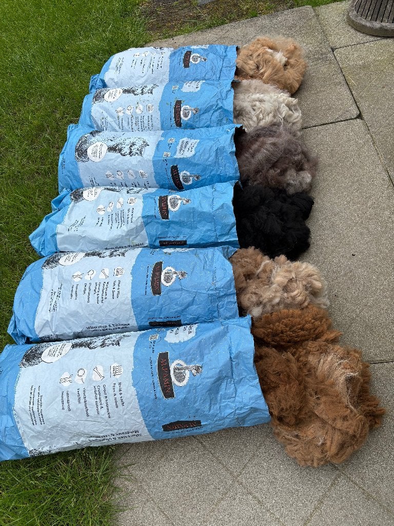Alpacawol, Hobby en Vrije tijd, Spinnewielen en Spinnen, Ophalen, Spinwol