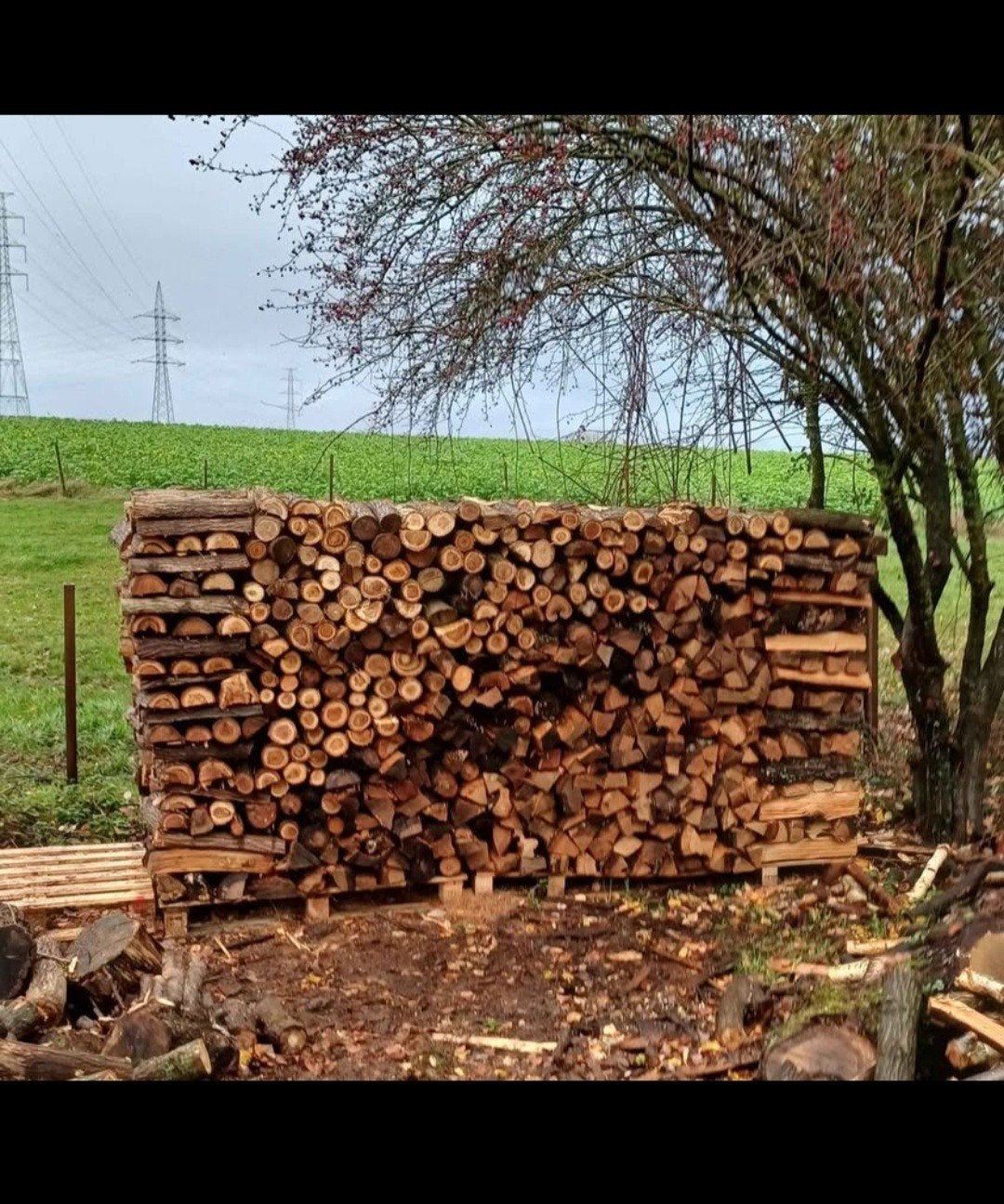 Bois de chauffage, Ophalen of Verzenden