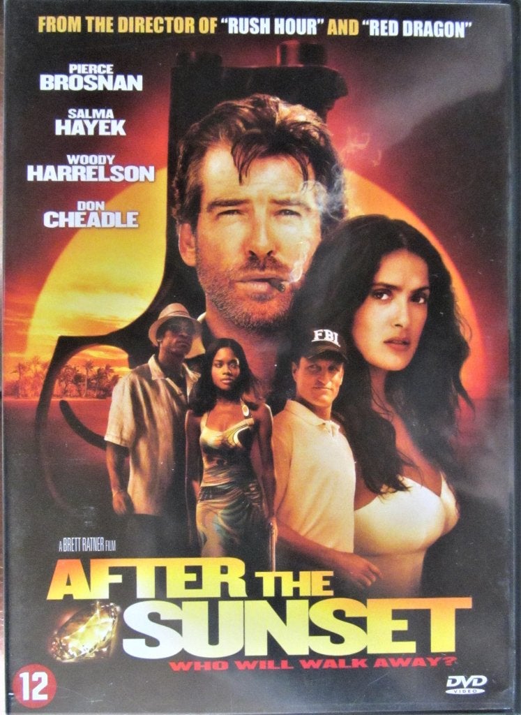 DVD ACTIE/THRILLER-AFTER THE SUNSET (P. BROSNAN-SALMA HAYEK), CD & DVD, DVD | Action, Enlèvement ou Envoi, Anglais, Tous les âges