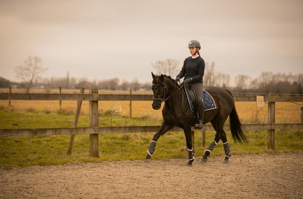 Instructrice aangeboden (gratis wedstrijdbegeleiding), Dieren en Toebehoren, Pony's, Niet van toepassing