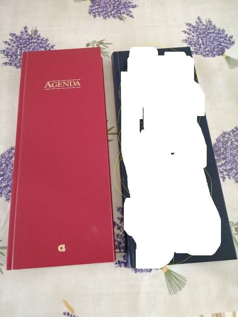 NIEUWE grote agenda, Divers, Agendas, Enlèvement ou Envoi, Neuf