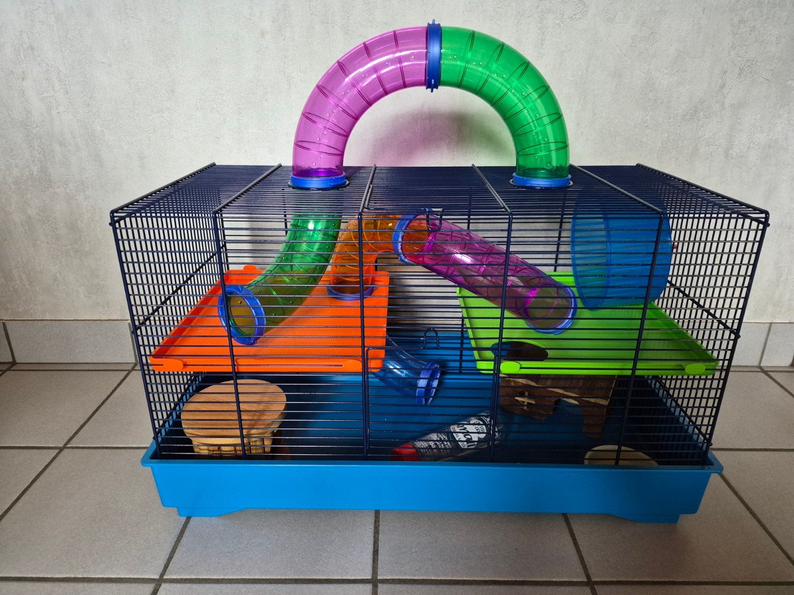 Hamsterkooi compleet ingericht, Ophalen, Hamster