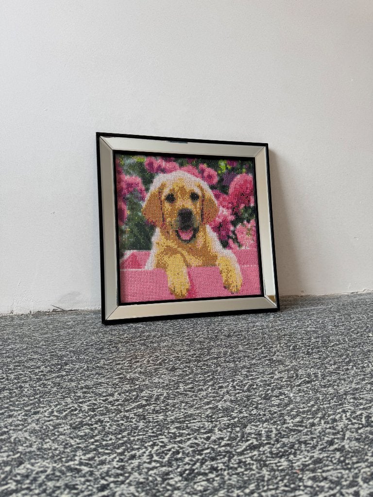 Diamond painting, Ophalen, Zo goed als nieuw, Diamond painting