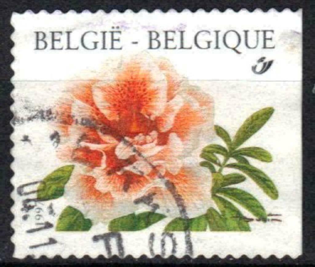 Belgique 1997 - Yvert 2733 /OBP 2733a - Fleurs (ST), Envoi, Affranchi, Oblitéré