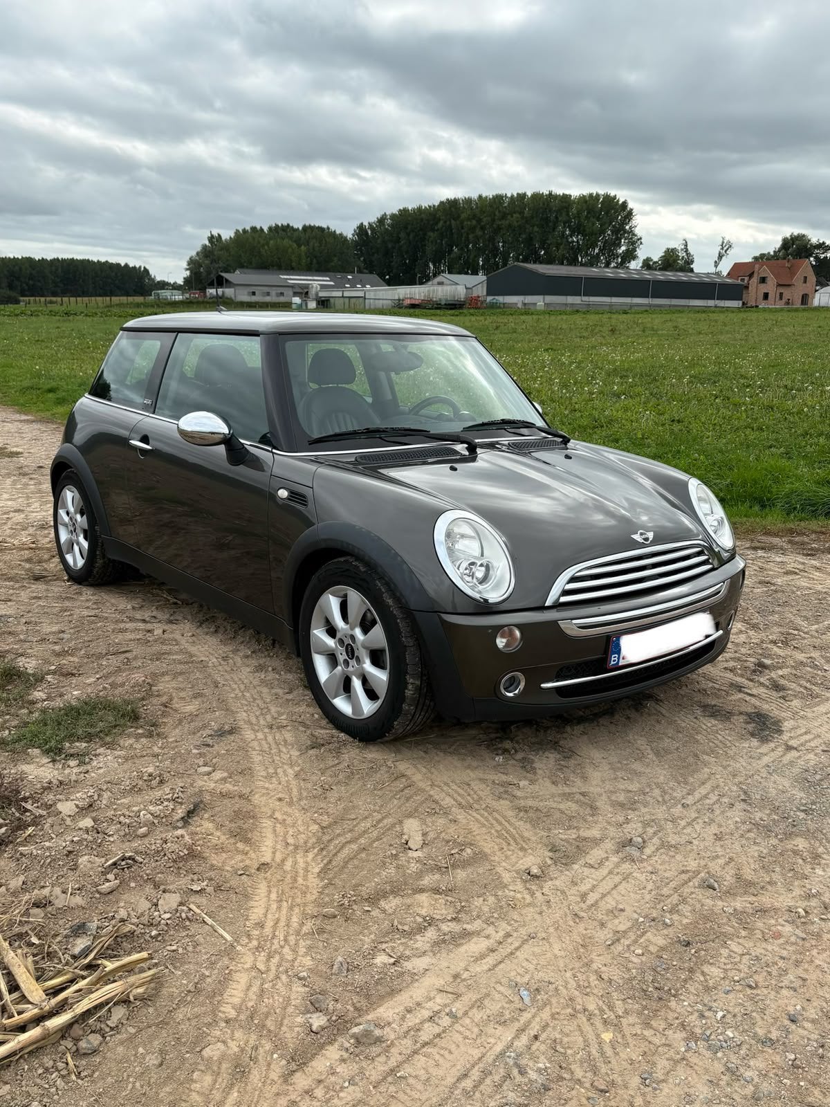 Mini one park lane edition, Auto's, Achterwielaandrijving, Bruin, 1600 cc, Leder