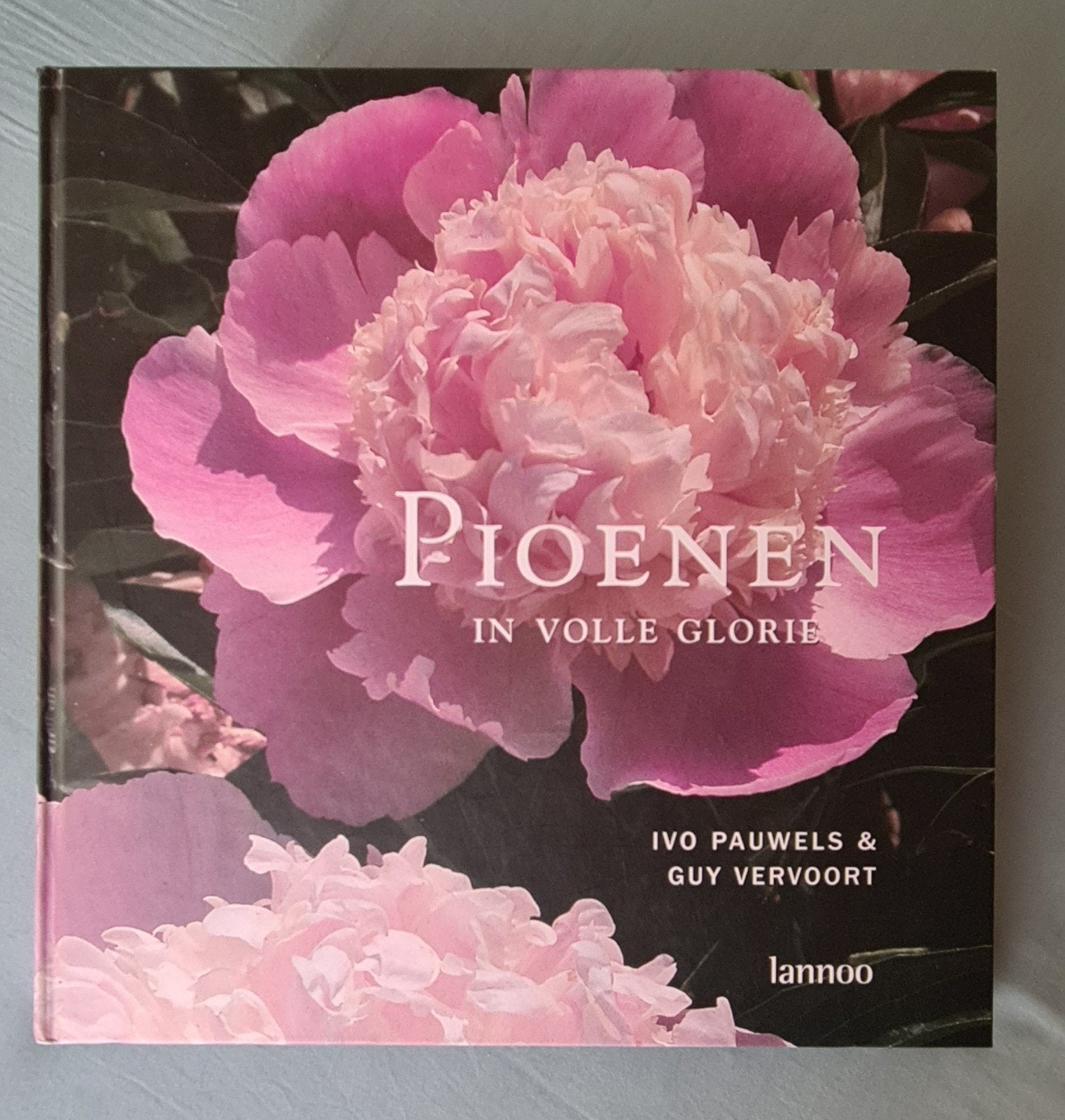 I. Pauwels - Pioenen, Ophalen of Verzenden, I. Pauwels; G. Vervoort