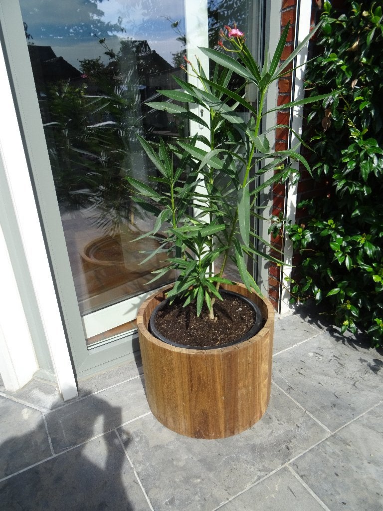 ronde plantenbak tropisch hardhout padouk, Jardin & Terrasse, Enlèvement, Comme neuf, Bois