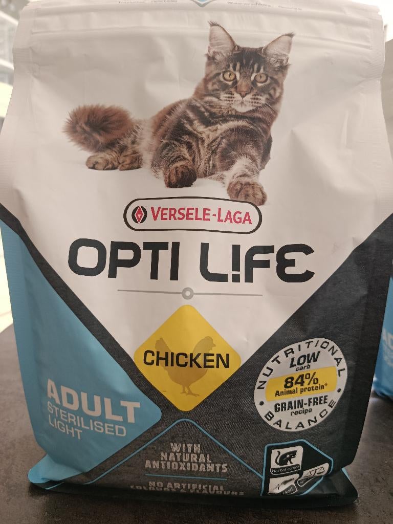 Kattenvoer, Dieren en Toebehoren, Ophalen, Kat