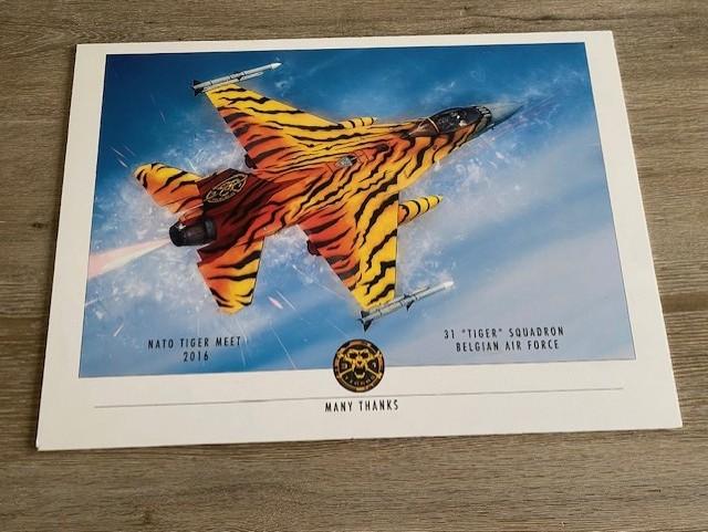 F16 Belgian Air force Tiger Squadron hardboard painting, Ophalen, Luchtmacht, Foto of Poster