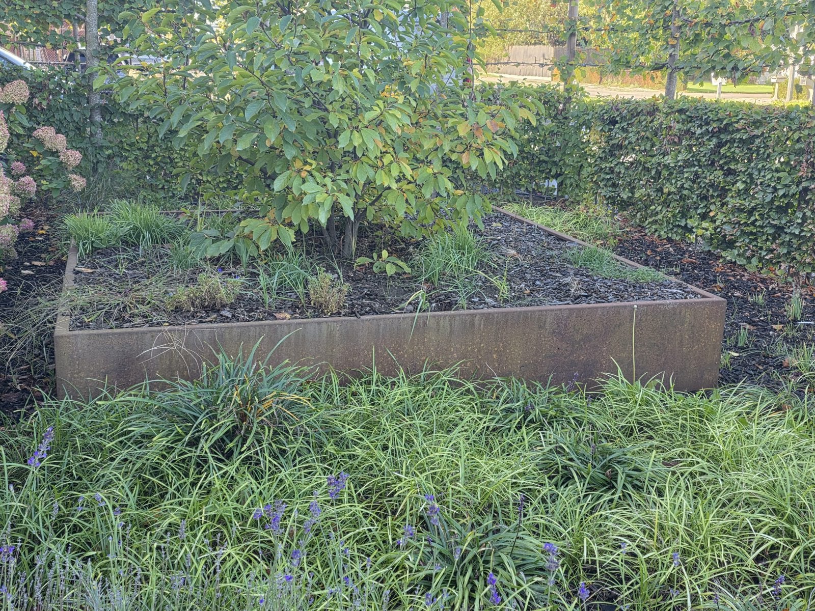 Cortenstaal bloembak, Tuin en Terras, Ophalen, Zo goed als nieuw, Vierkant