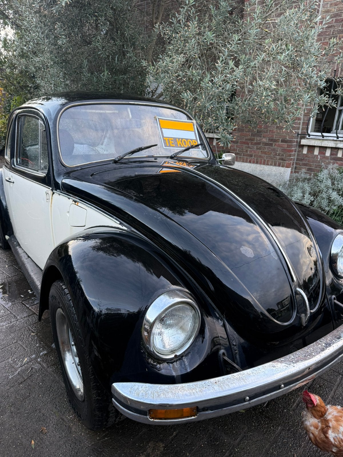 VW Kever Autostick 1300cc – Aircooled Classic beetle bug cox, Automaat, Zwart, Zwart, Particulier