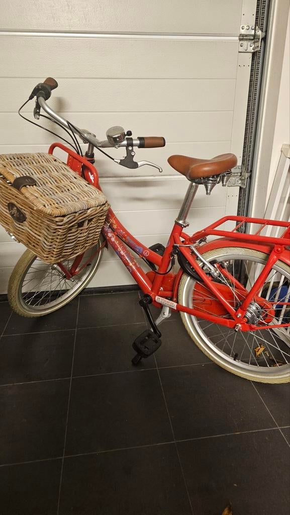 Kinderfiets 20 inch met mandje, Fietsen en Brommers, Ophalen, Terugtraprem, Gebruikt, BFK, BIKE FUN KIDS