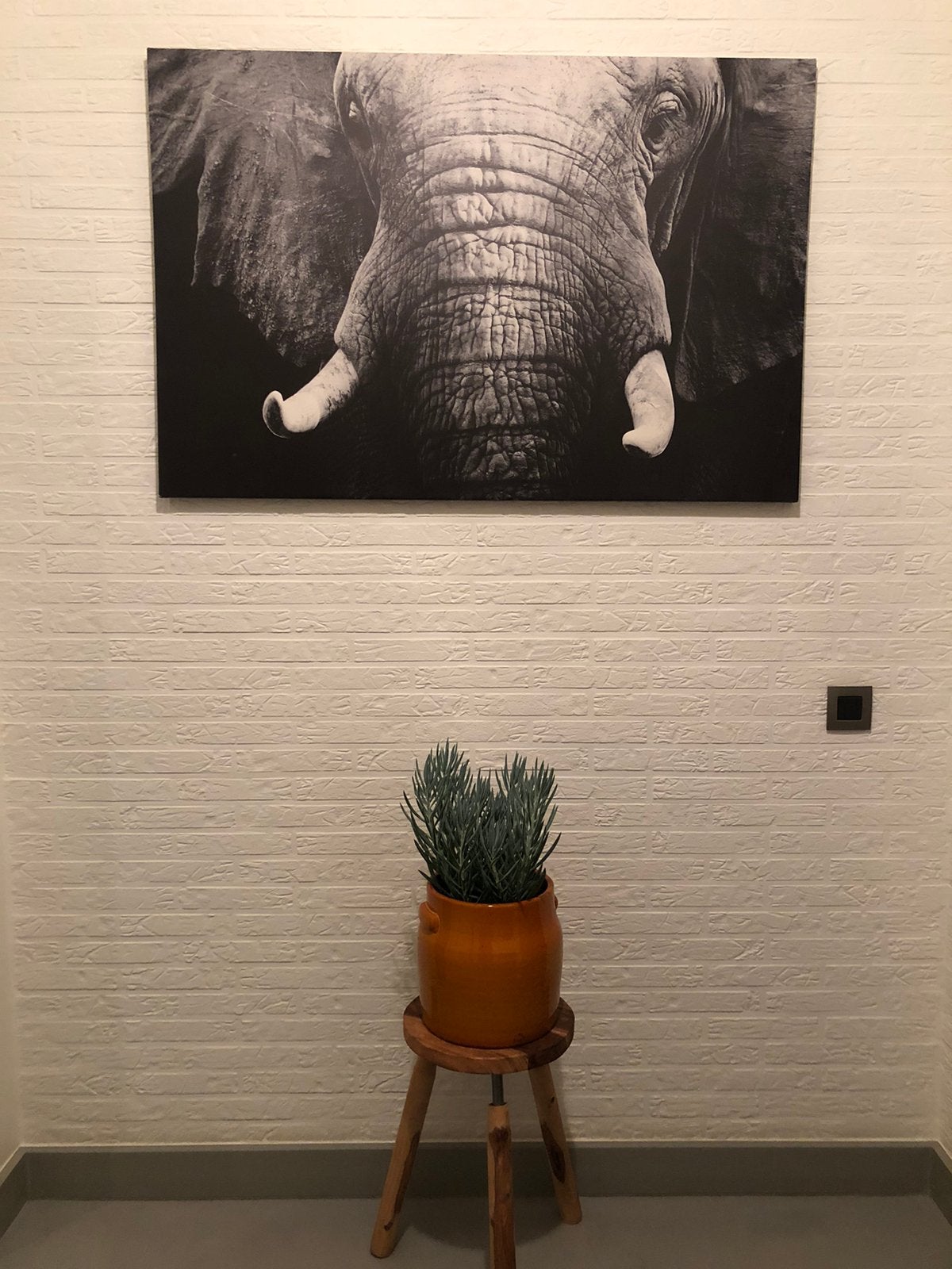 Olifant foto op doek, 1m20 op 80cm, Huis en Inrichting, Ophalen, Zo goed als nieuw, Overige materialen