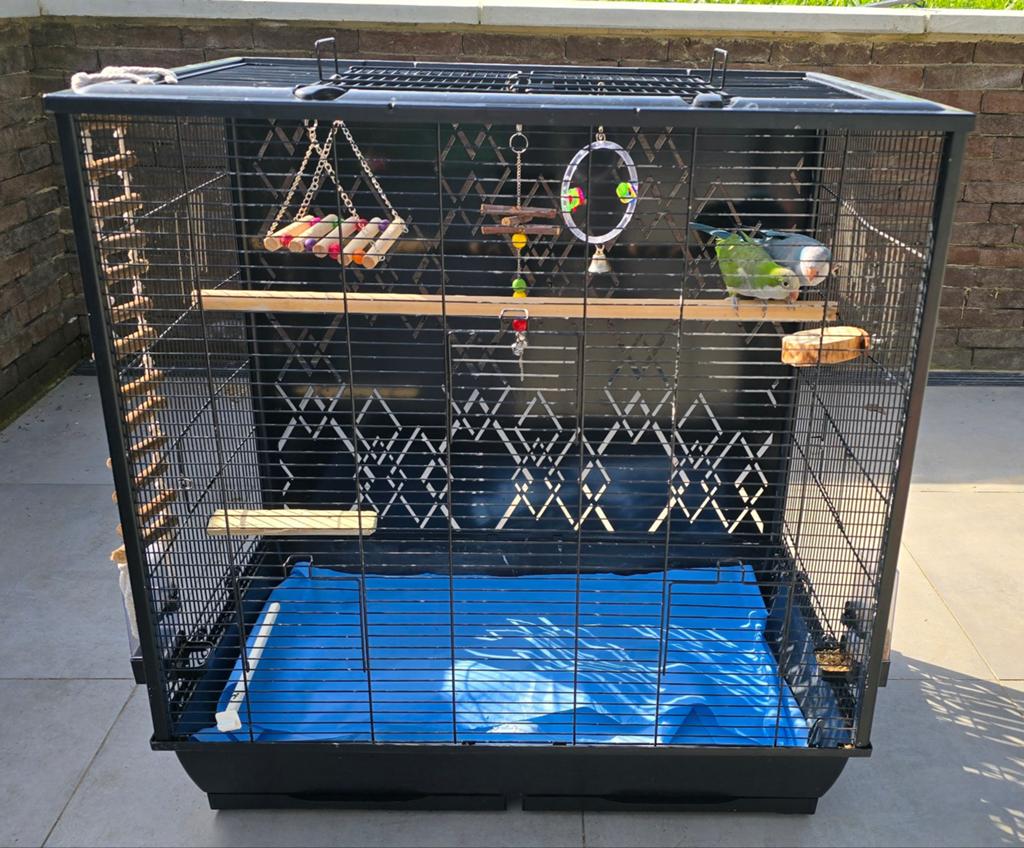 Cage conure + perroquet