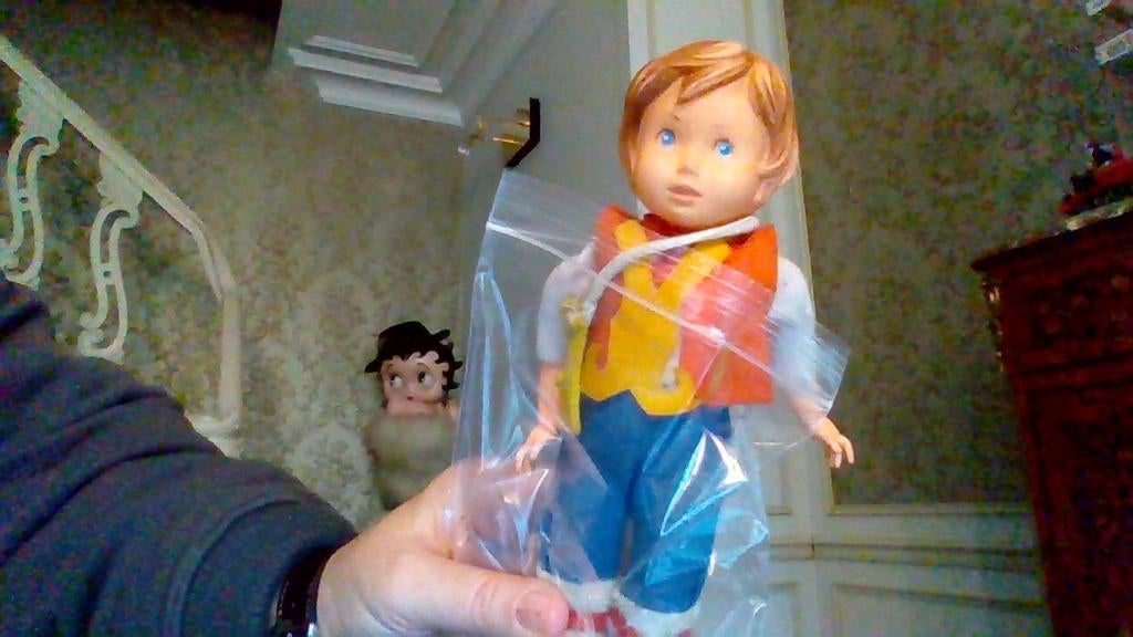 poupée de Rémi sans famille (il y a pas le chapeau), Enlèvement