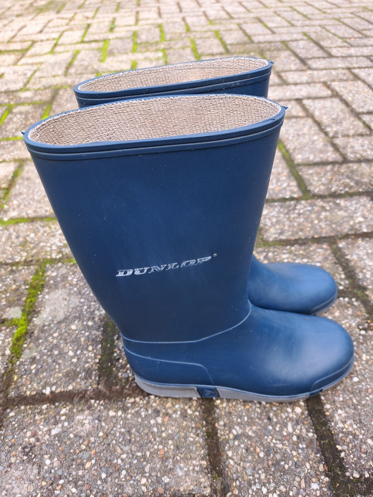 Dunlop rubber laarzen maat 34, Ophalen of Verzenden, Laarzen