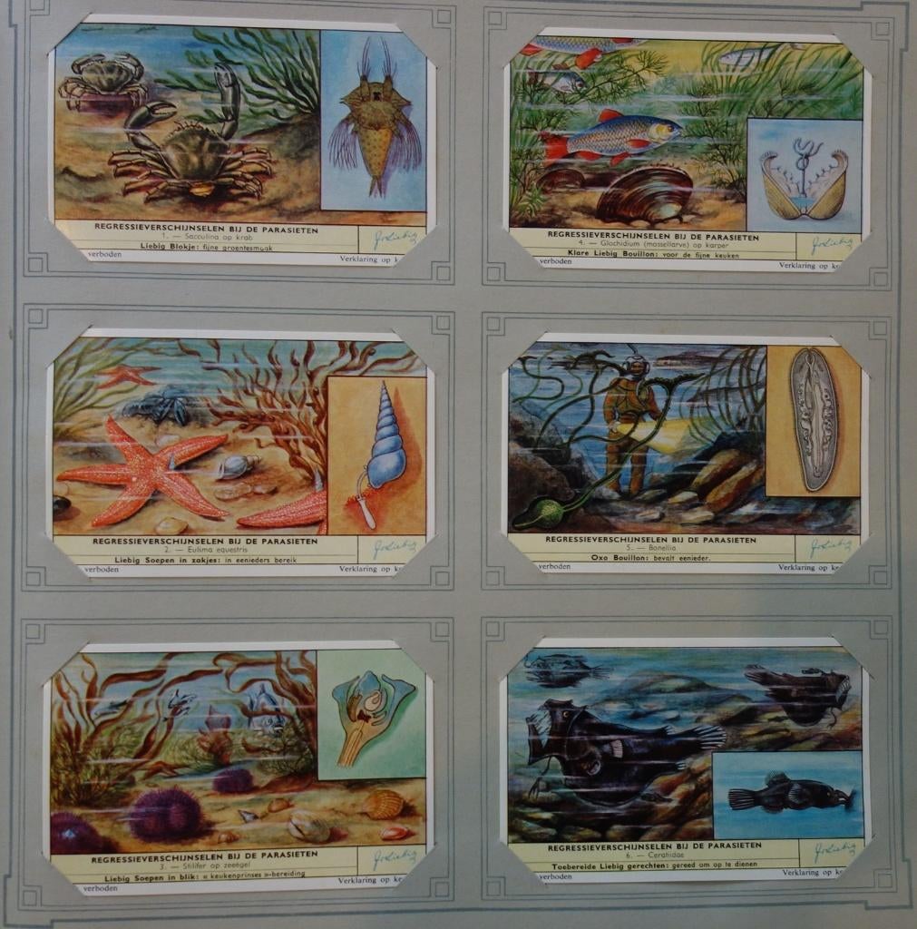Set Liebig Prenten Regressieverschijnselen bij de parasieten, Enlèvement ou Envoi, Gravure, Comme neuf, 1940 à 1960