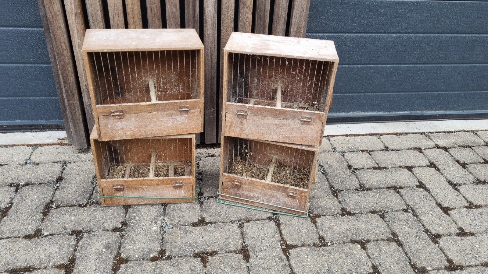 Gesloten zangkooien voor waterslagers, Enlèvement