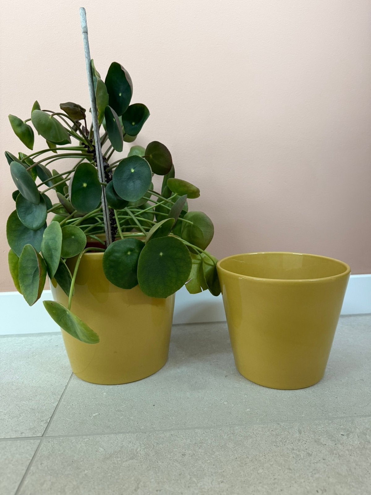 2 grote oker bloempotten, Tuin en Terras, Ophalen, Zo goed als nieuw