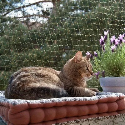 Kattennet, Ophalen, Zo goed als nieuw