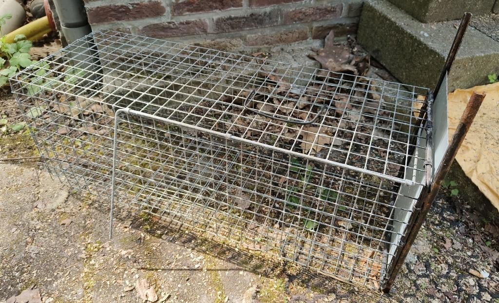 Kooi voor konijnen, Dieren en Toebehoren, Ophalen, Gebruikt, Kooi