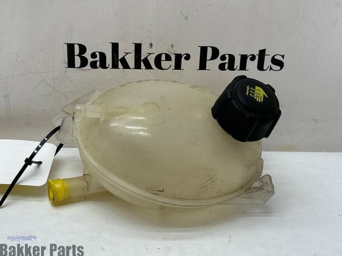 Expansievat van een Renault Clio, Gebruikt, -, Renault, -