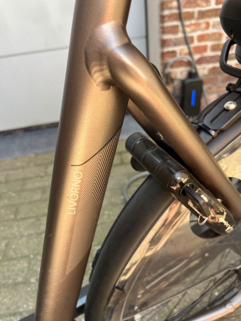 Elektrische fiets Stella, Fietsen en Brommers, Elektrische fietsen, 55 tot 59 cm, Ophalen, Gebruikt, Overige merken