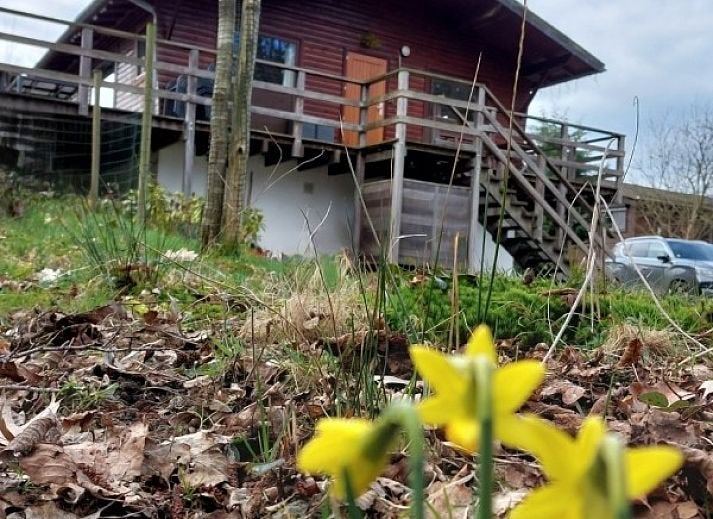 chalet vakantiewoning Ardennen Rendeux 8 personen, 8 personen, 4 of meer slaapkamers, Open haard, In bos