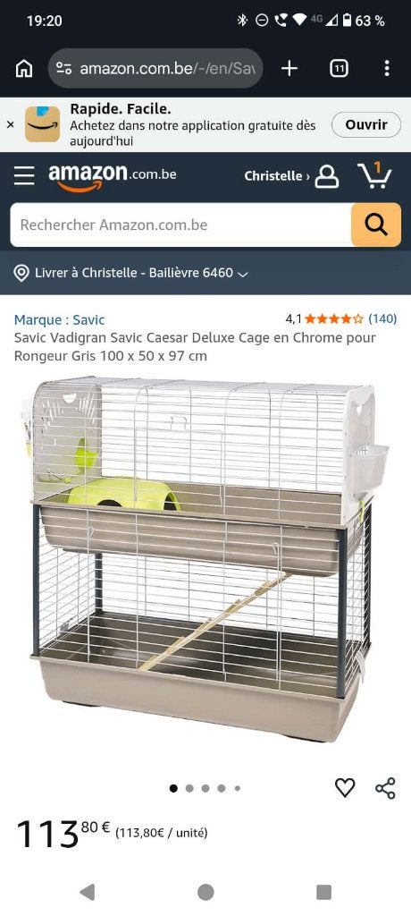 Cage pour cochon d'Inde ou lapin., Enlèvement, Cage, Lapin