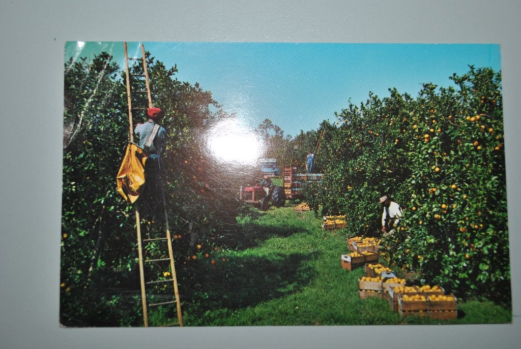 Etats-Unis 1969 Carte postale Floride, Verzamelen, Postkaarten | Buitenland, Ophalen of Verzenden