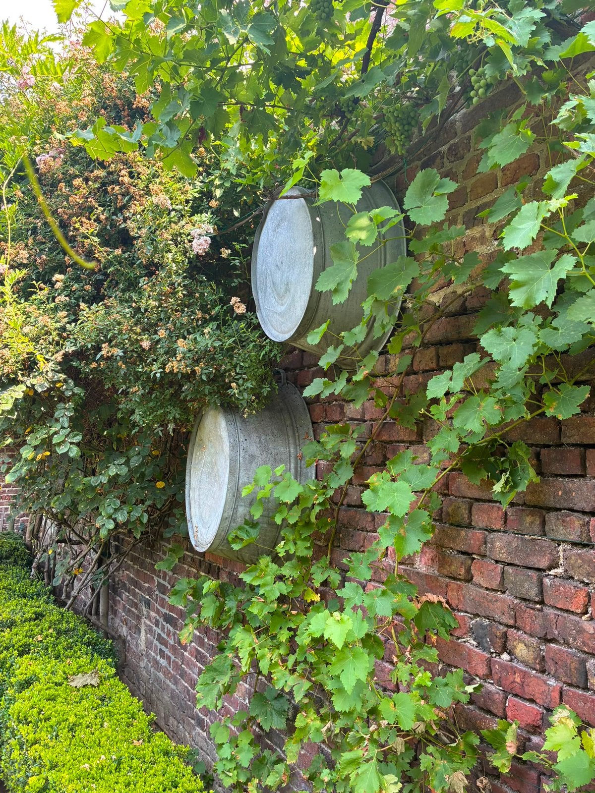 Zinken kuipen, Ophalen
