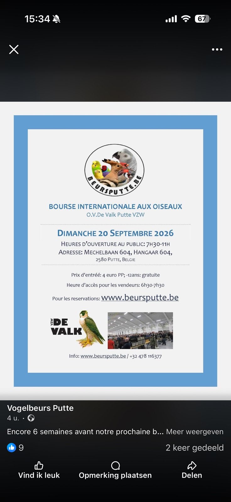 Gezocht, Meerdere dieren, Papegaai, Geringd