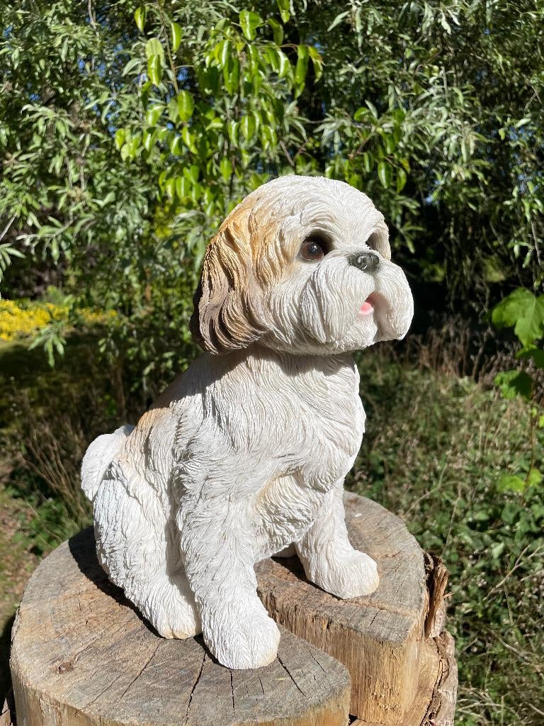 Hond Shih Tzu, schoothond, tuin, gazon 30cm, Tuin en Terras, Ophalen, Nieuw, Kunststof, Dierenbeeld